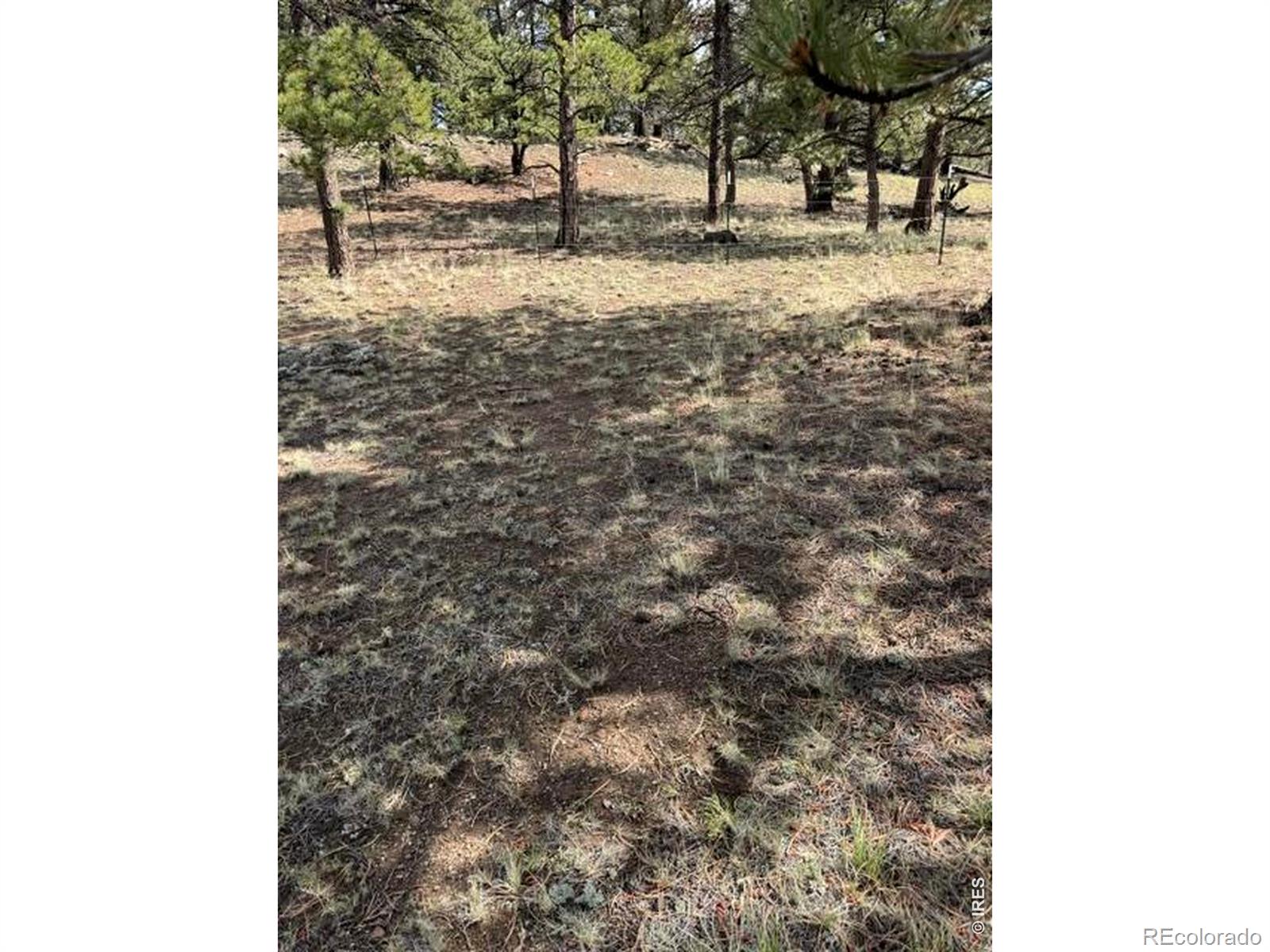 2841 Singletree Road Hartsel CO 80449