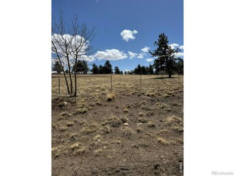 2841 Singletree Road Hartsel CO 80449