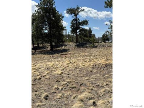 2841 Singletree Road Hartsel CO 80449