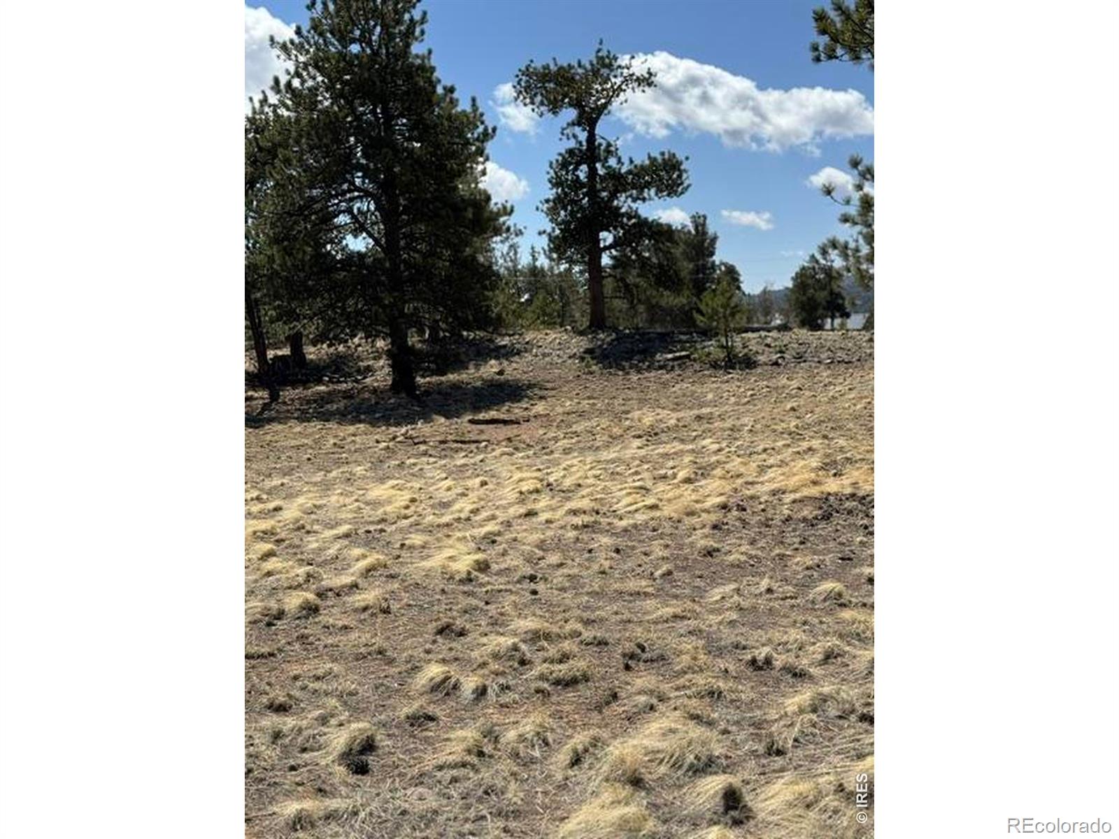 2841 Singletree Road Hartsel CO 80449