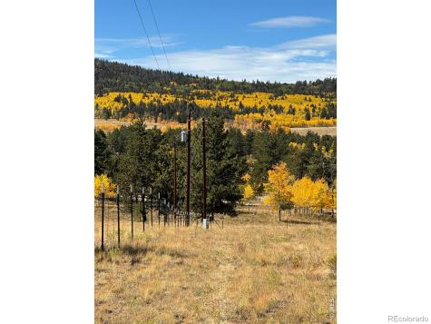 2841 Singletree Road Hartsel CO 80449