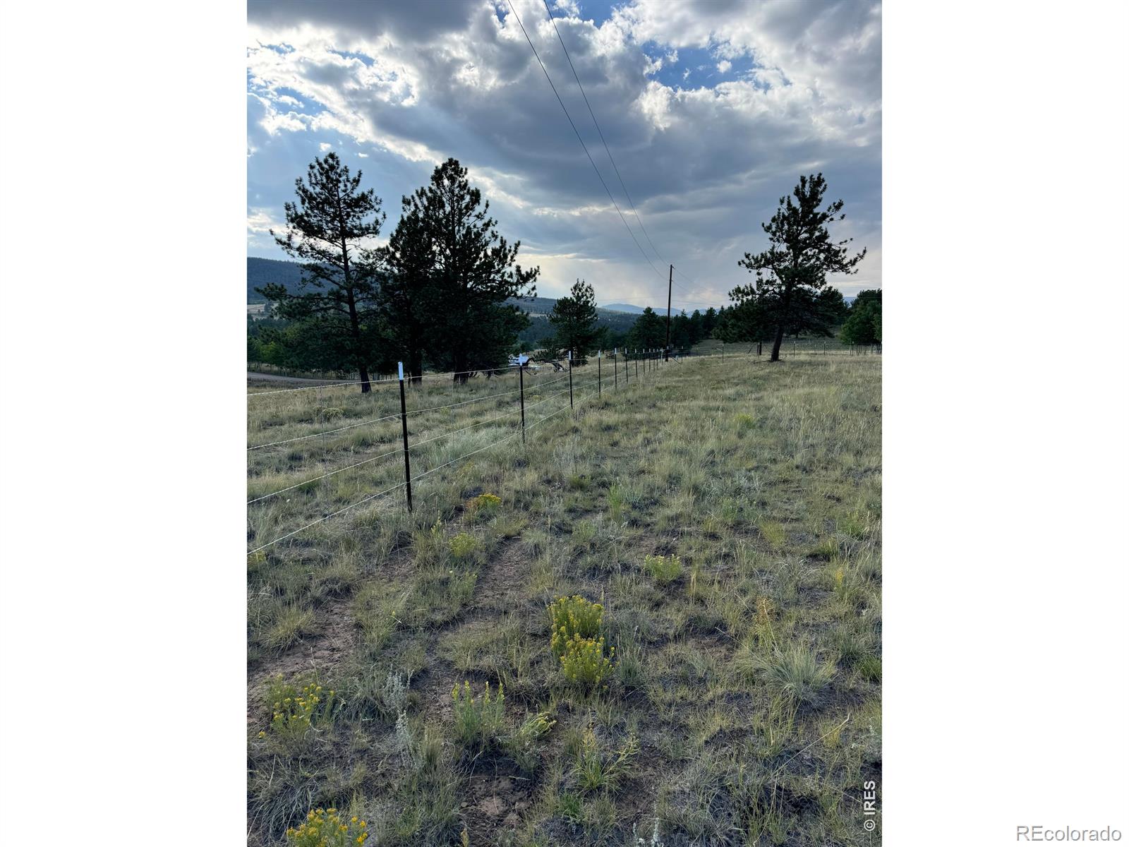 2841 Singletree Road Hartsel CO 80449
