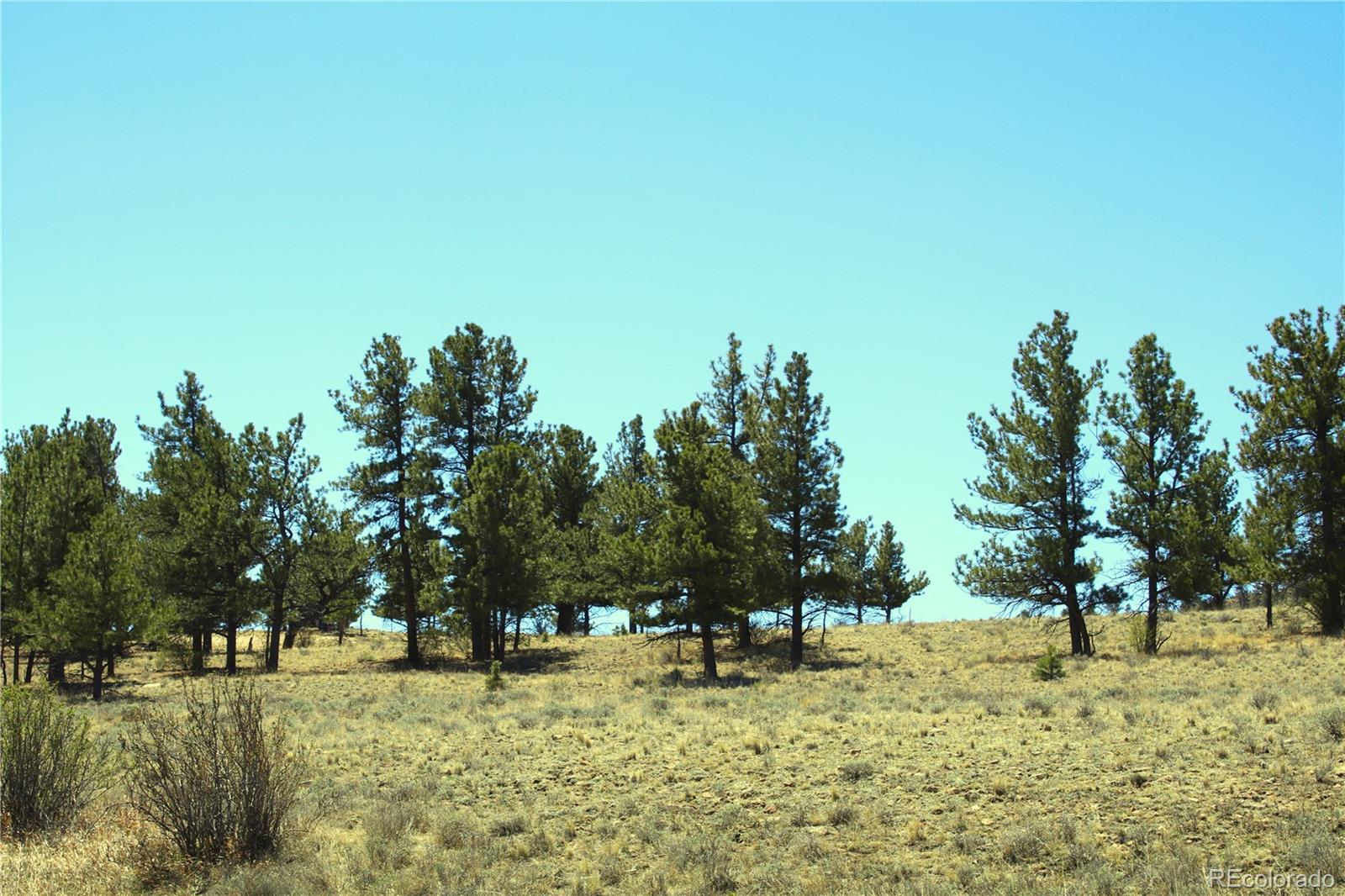 12451 Us-24 Hartsel CO 80449