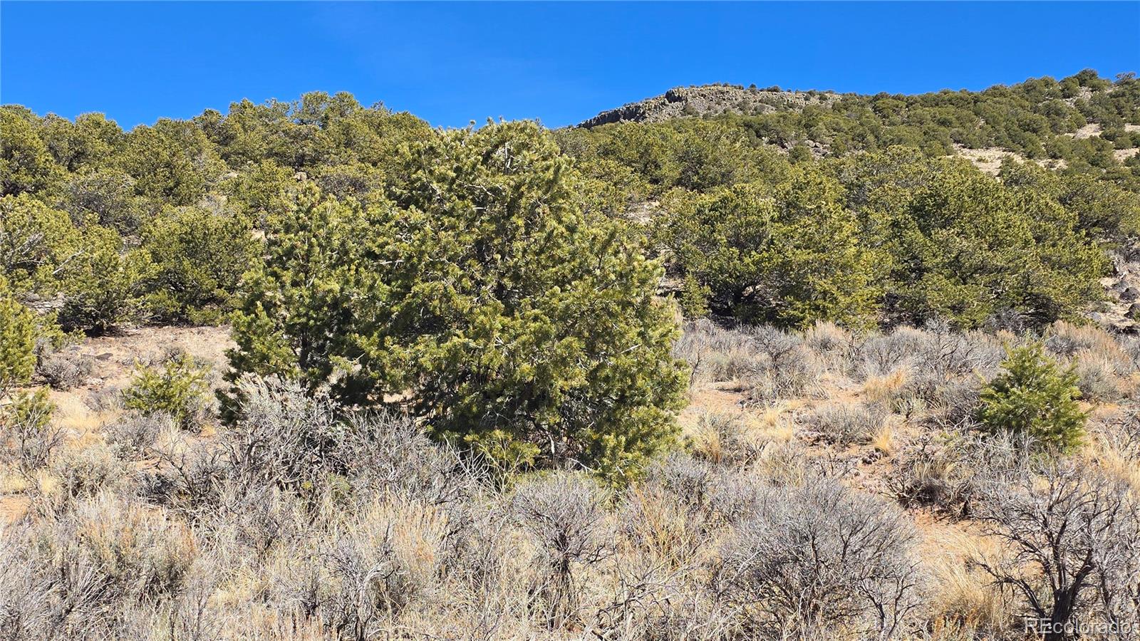 Lot 75 Old Stage Coach Road San Luis CO 81152