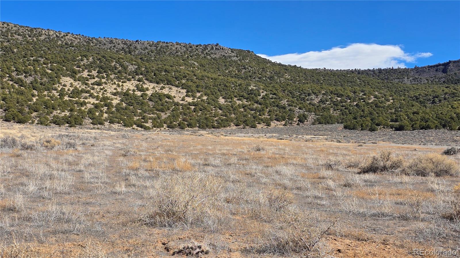 Lot 75 Old Stage Coach Road San Luis CO 81152