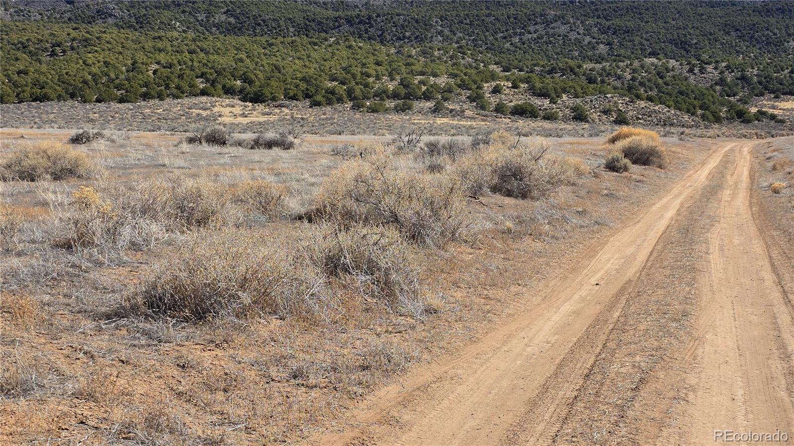 Lot 75 Old Stage Coach Road San Luis CO 81152