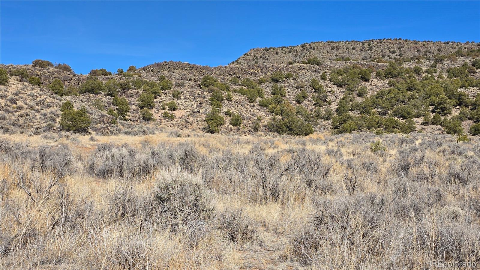 Lot 75 Old Stage Coach Road San Luis CO 81152