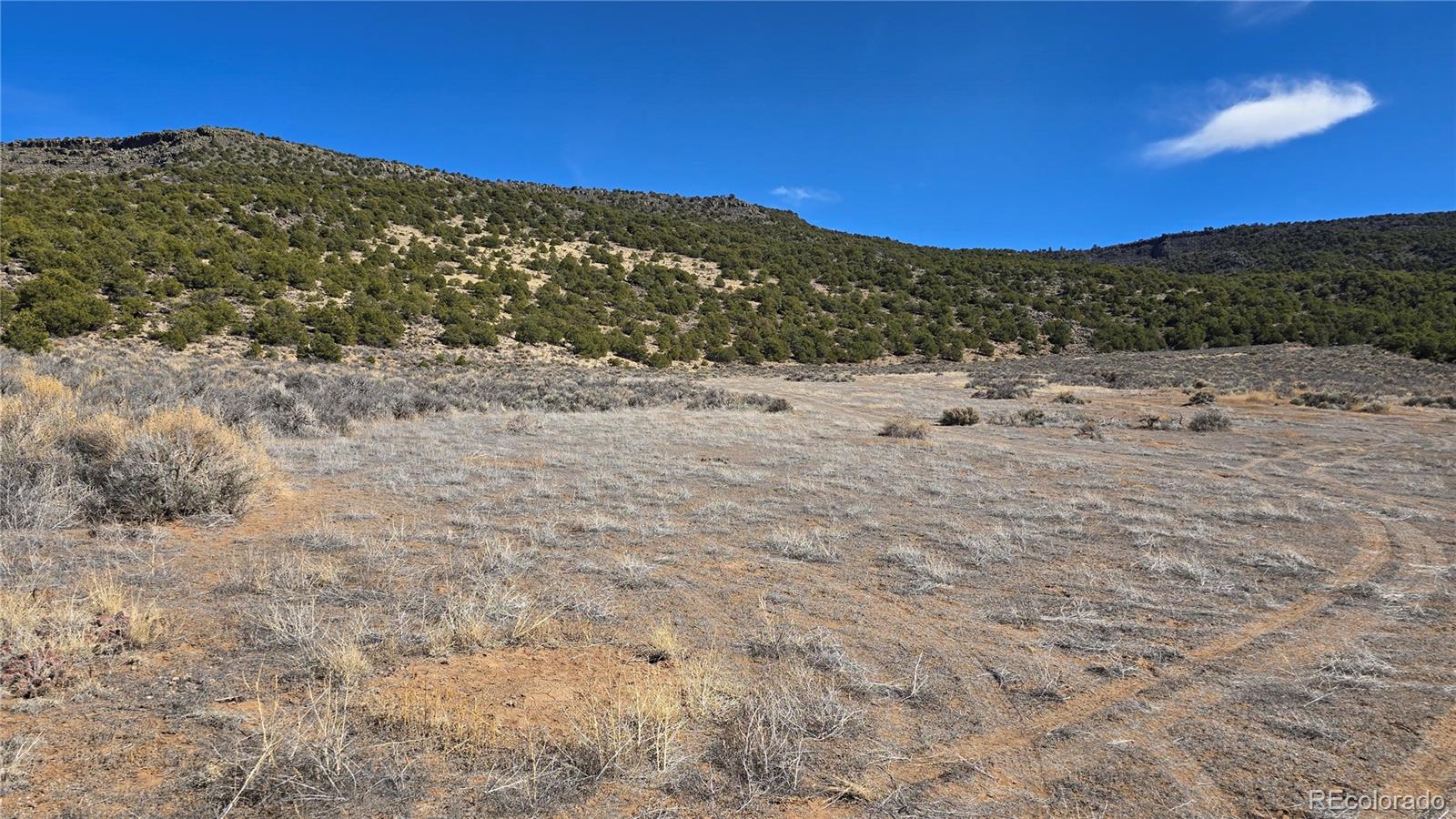 Lot 75 Old Stage Coach Road San Luis CO 81152
