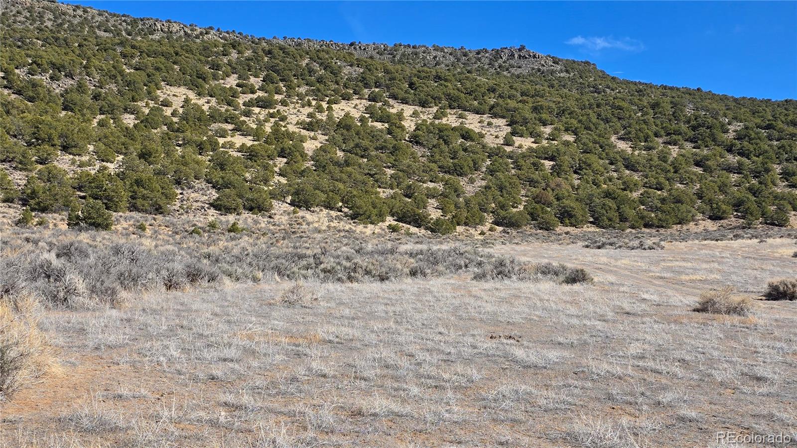 Lot 75 Old Stage Coach Road San Luis CO 81152