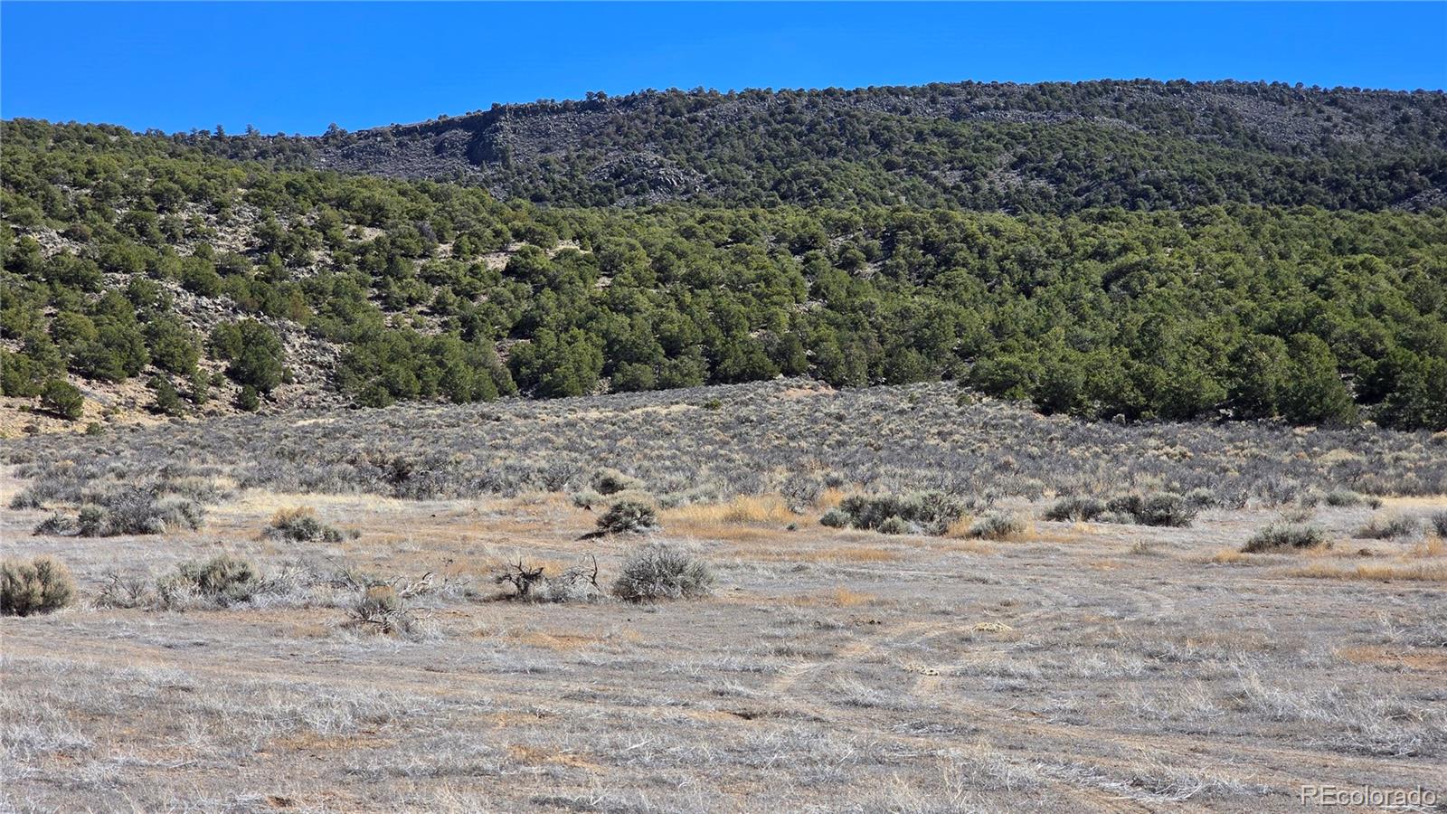 Lot 75 Old Stage Coach Road San Luis CO 81152
