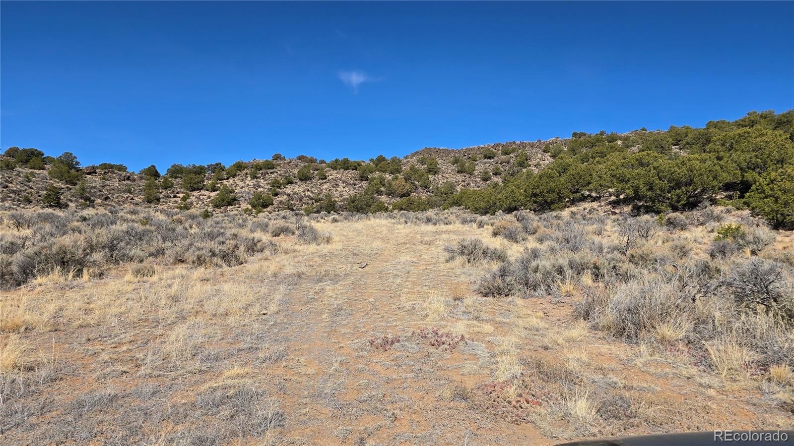 Lot 75 Old Stage Coach Road San Luis CO 81152