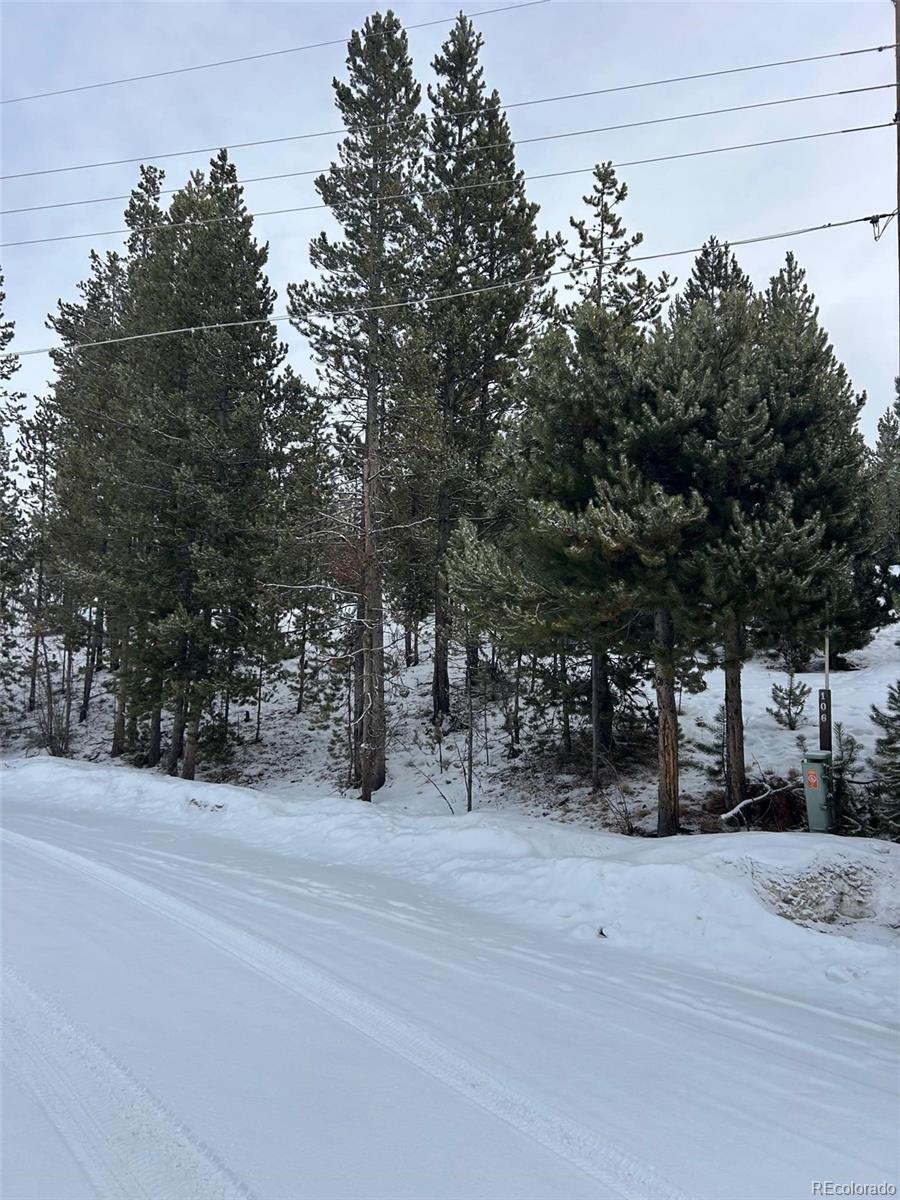 114, 122 Mustang Trail Grand Lake CO 80447