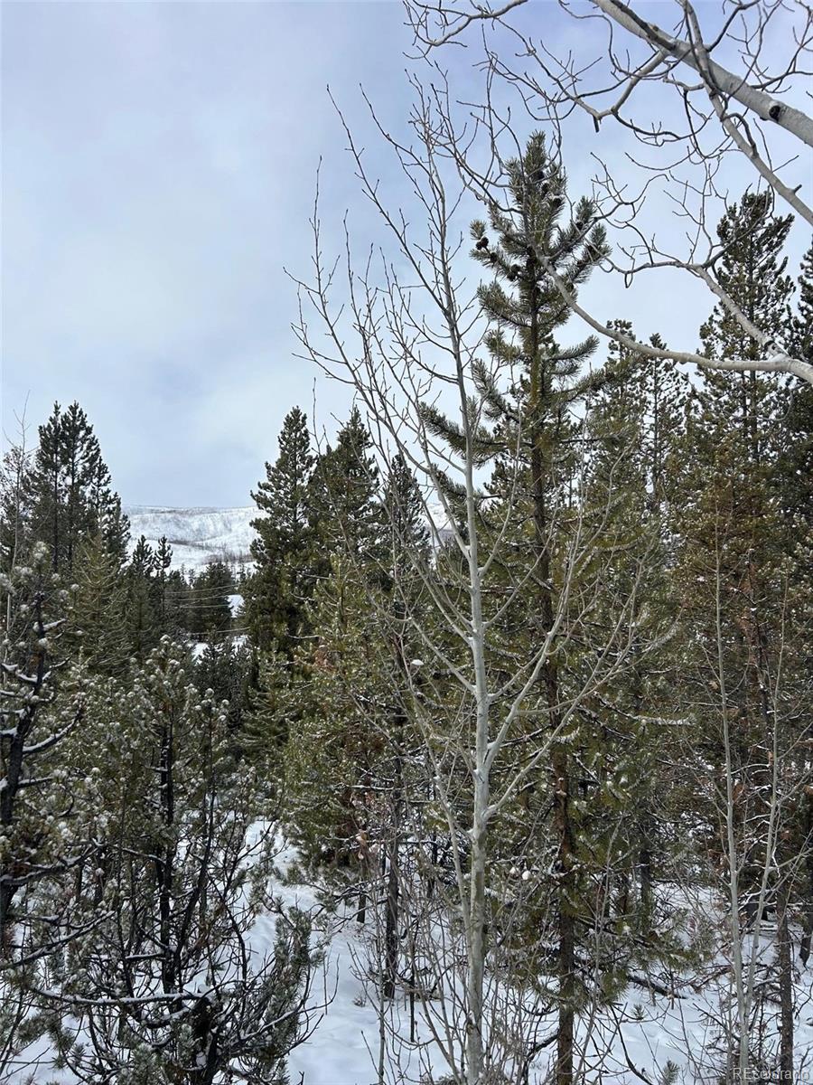 114, 122 Mustang Trail Grand Lake CO 80447