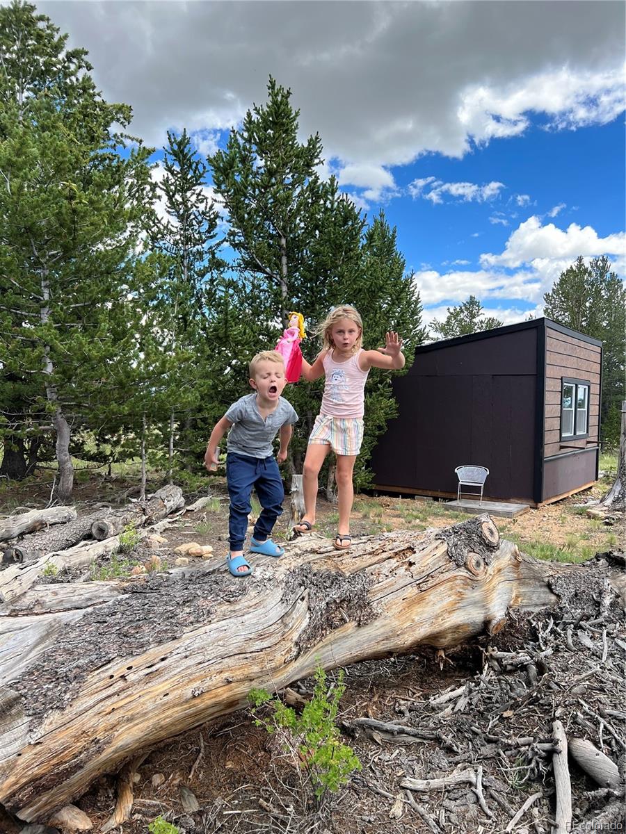 1648 Mullenville Road Fairplay CO 80440