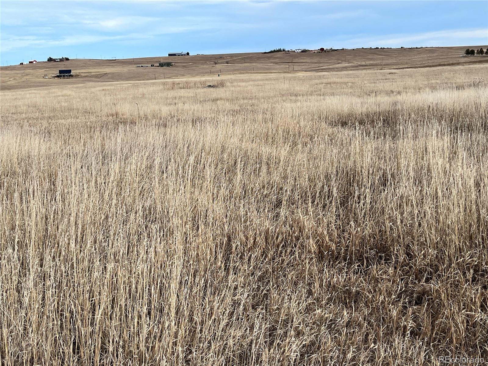 County 41 Road Elbert CO 80106