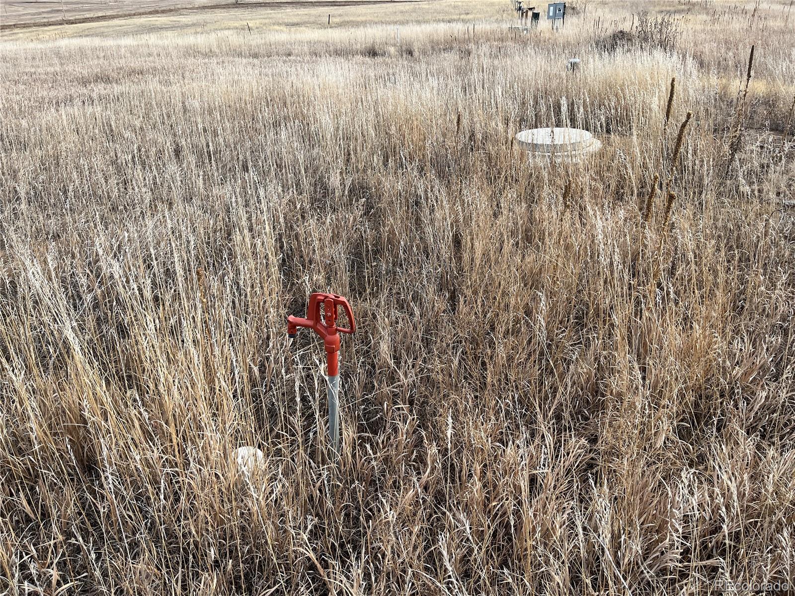County 41 Road Elbert CO 80106