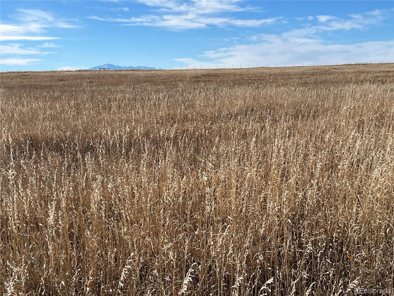County 41 Road Elbert CO 80106
