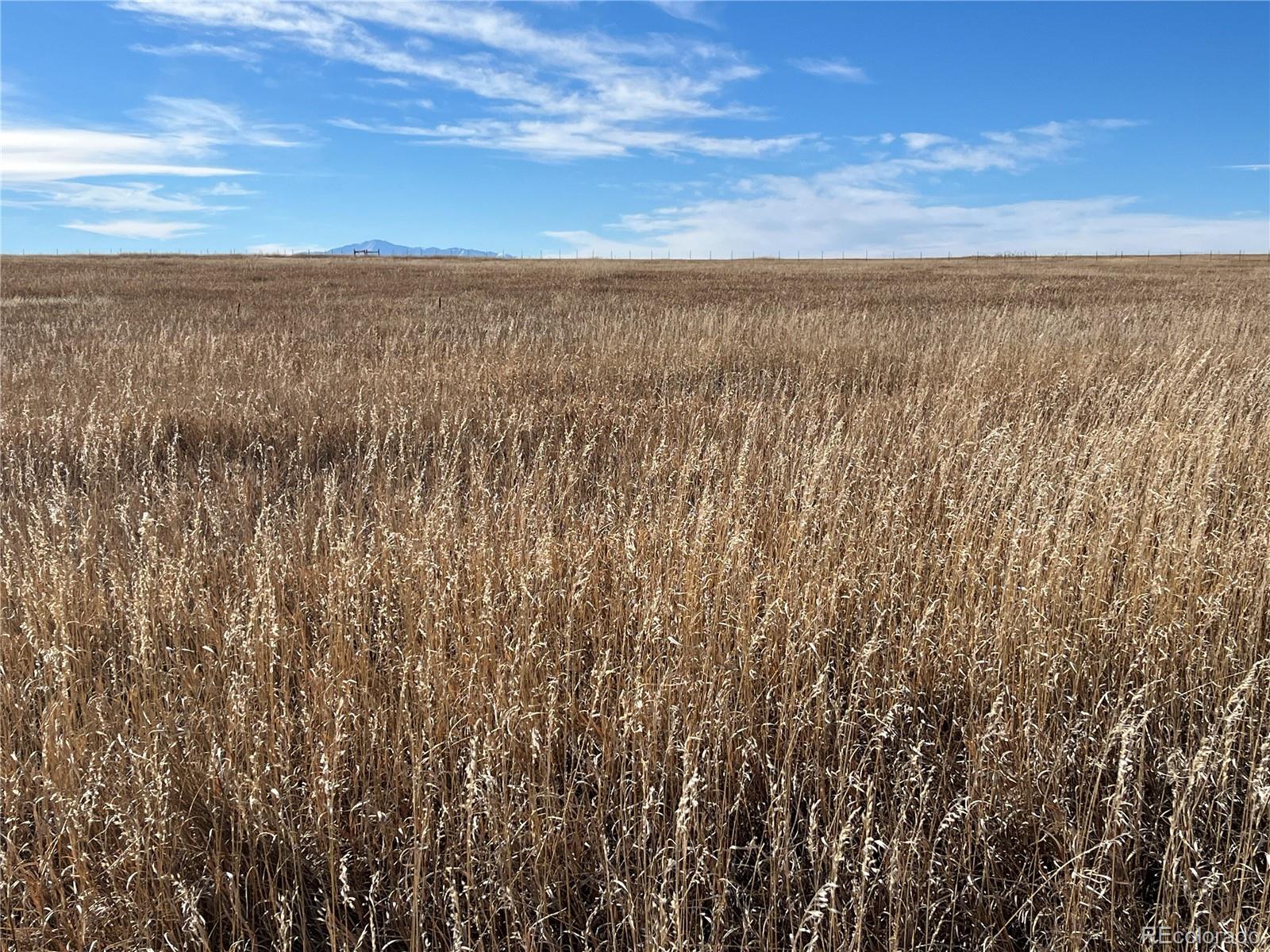 County 41 Road Elbert CO 80106