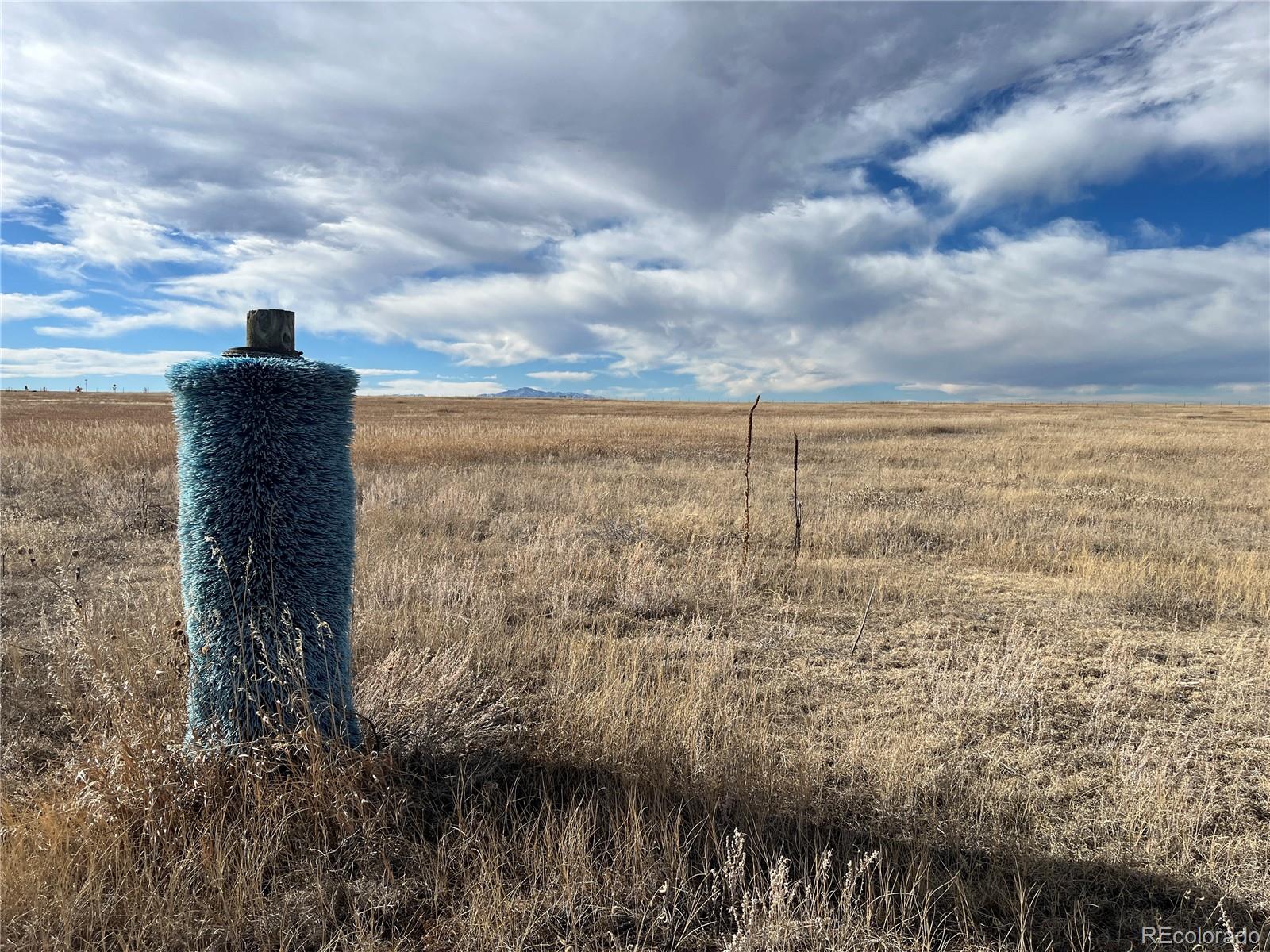 County 41 Road Elbert CO 80106