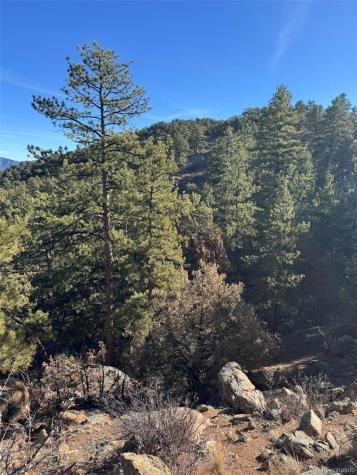 TR-1 G Path Cotopaxi CO 81223