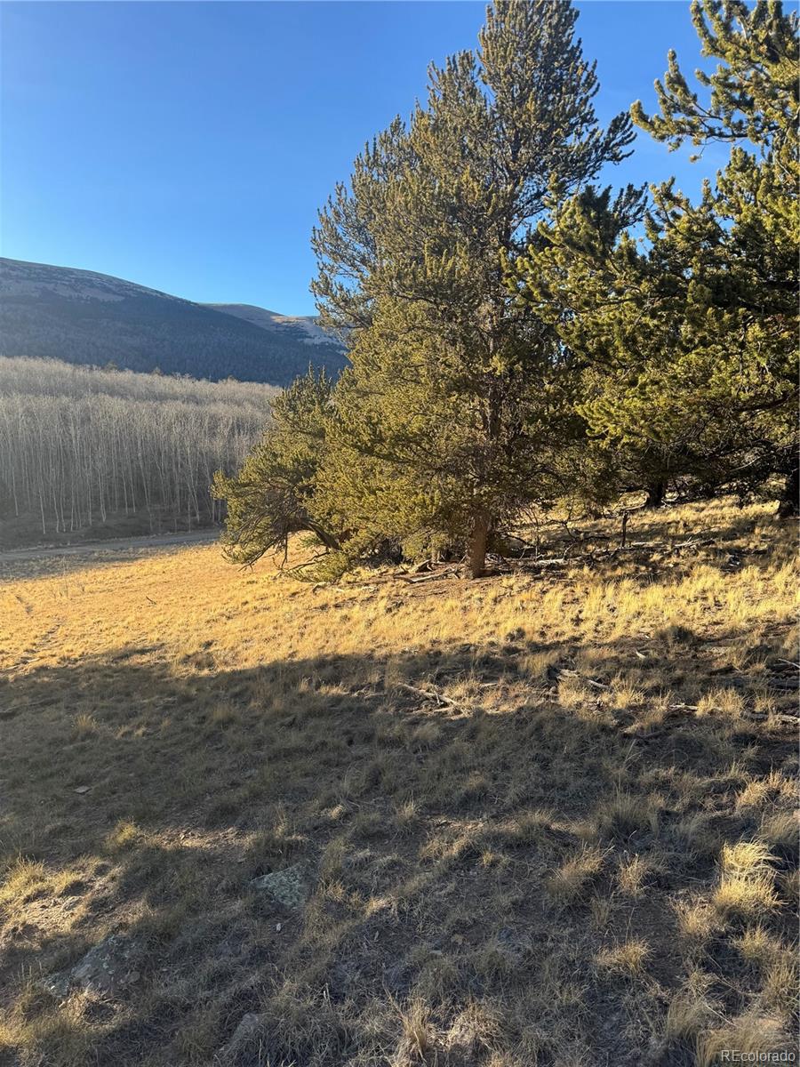 84 Pine Ridge Road Fairplay CO 80440