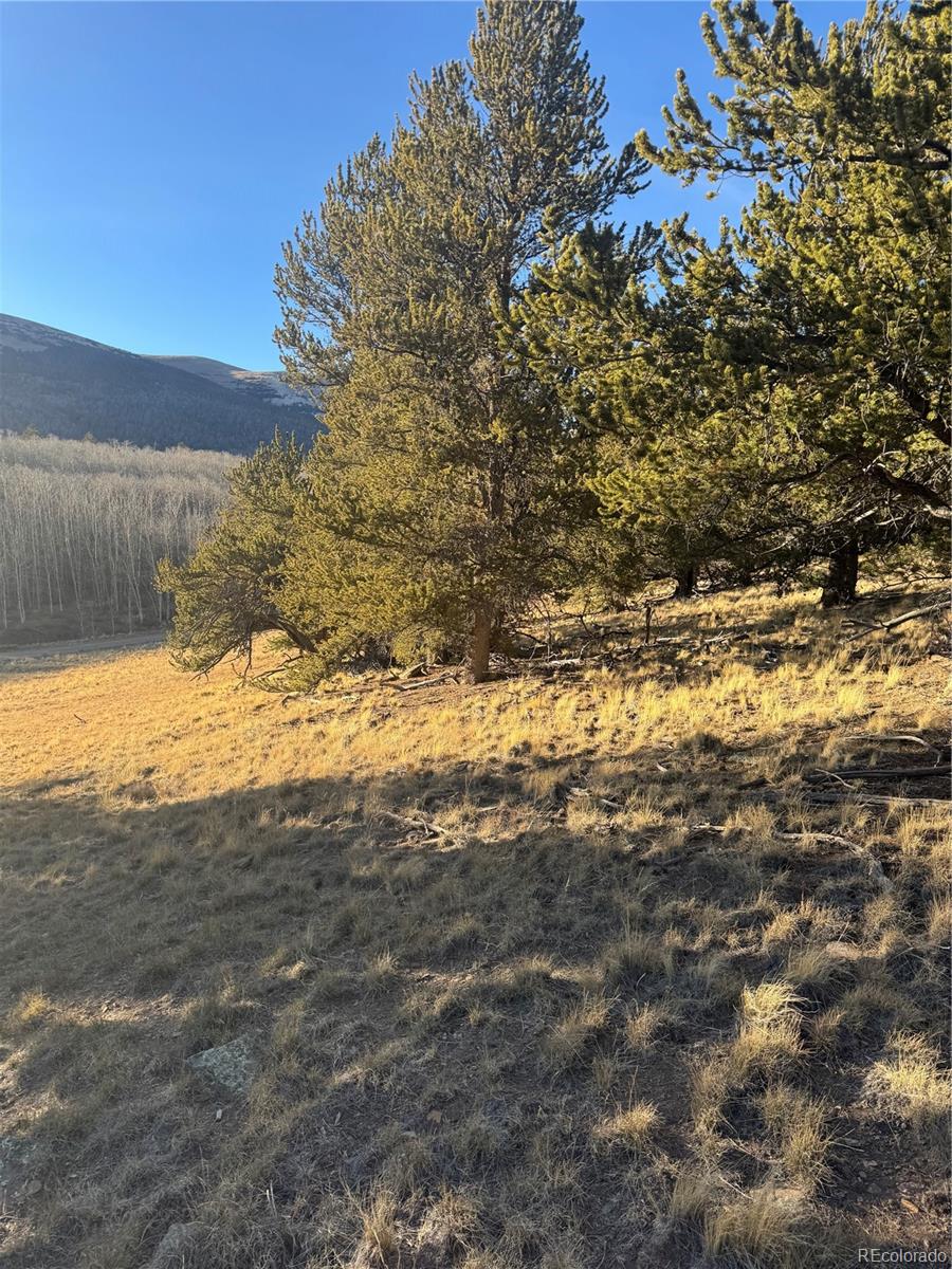 84 Pine Ridge Road Fairplay CO 80440