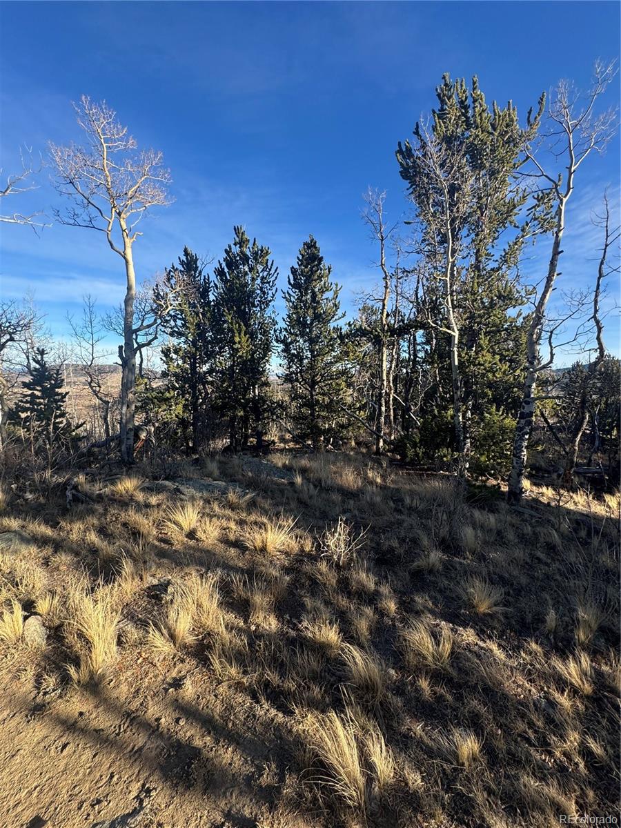 84 Pine Ridge Road Fairplay CO 80440