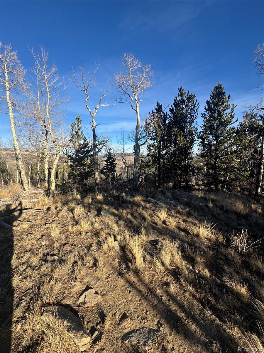 84 Pine Ridge Road Fairplay CO 80440