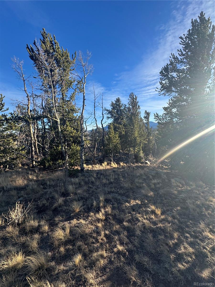 84 Pine Ridge Road Fairplay CO 80440