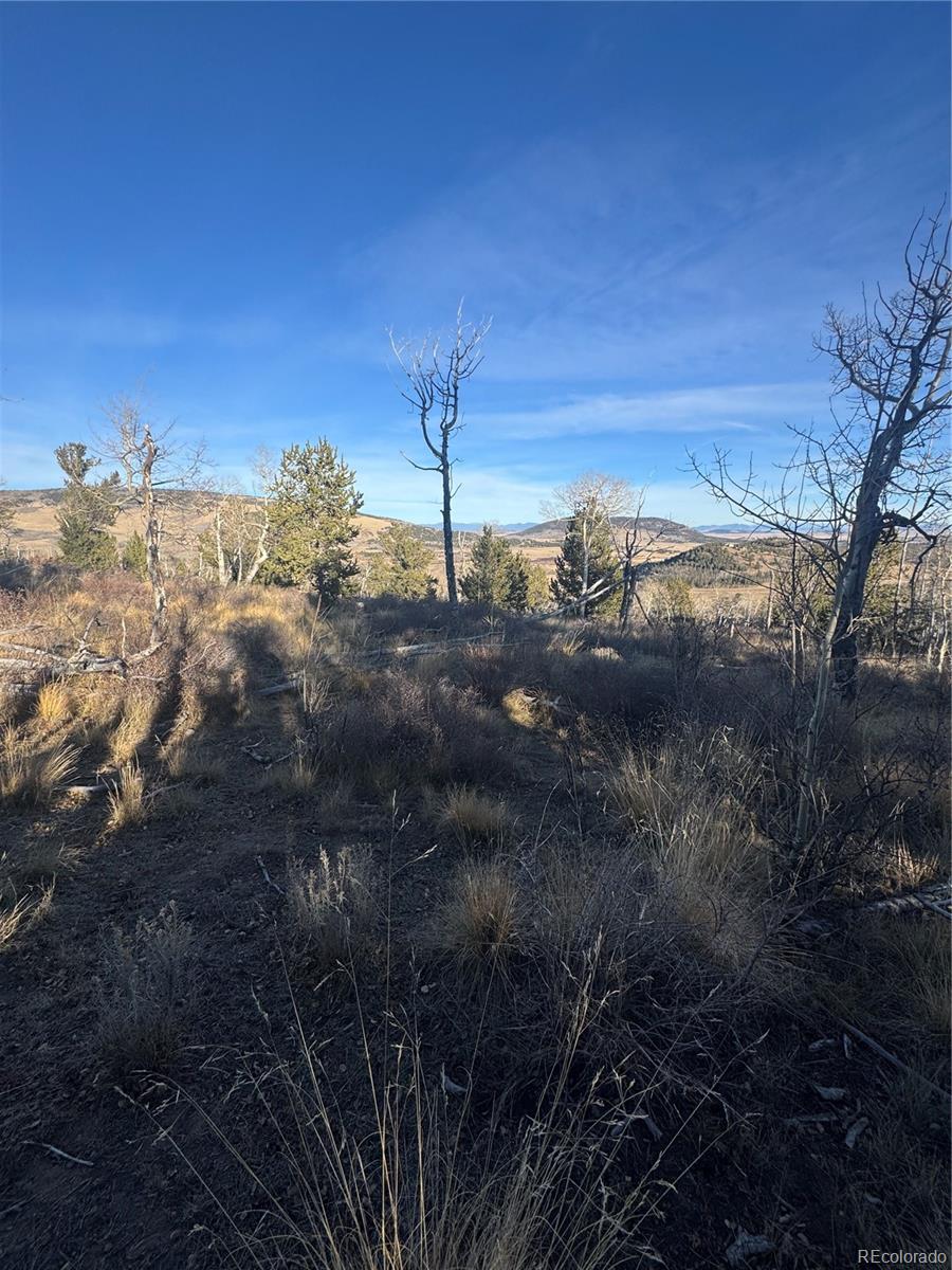 84 Pine Ridge Road Fairplay CO 80440