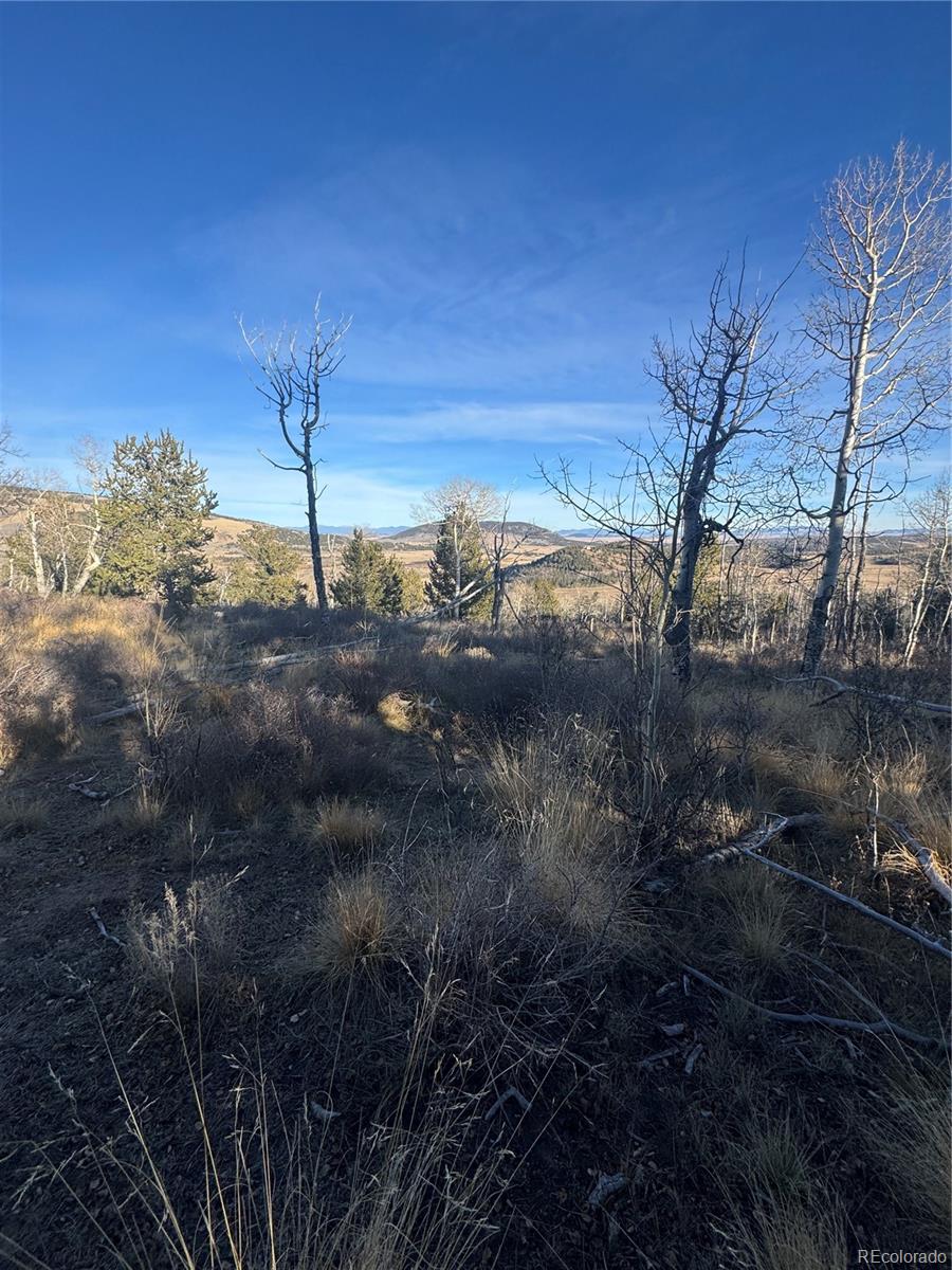 84 Pine Ridge Road Fairplay CO 80440