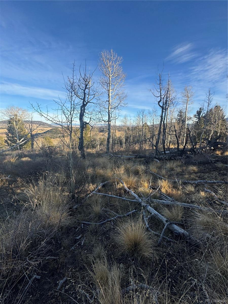 84 Pine Ridge Road Fairplay CO 80440