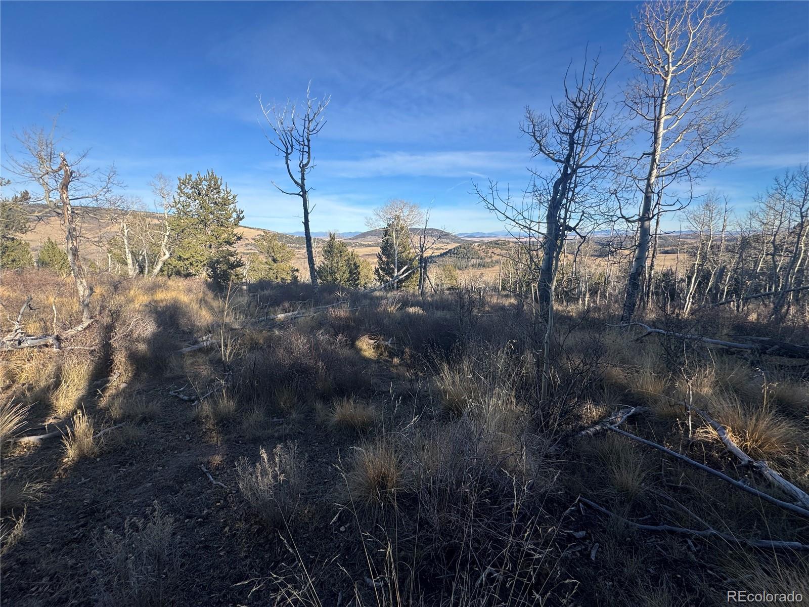 84 Pine Ridge Road Fairplay CO 80440