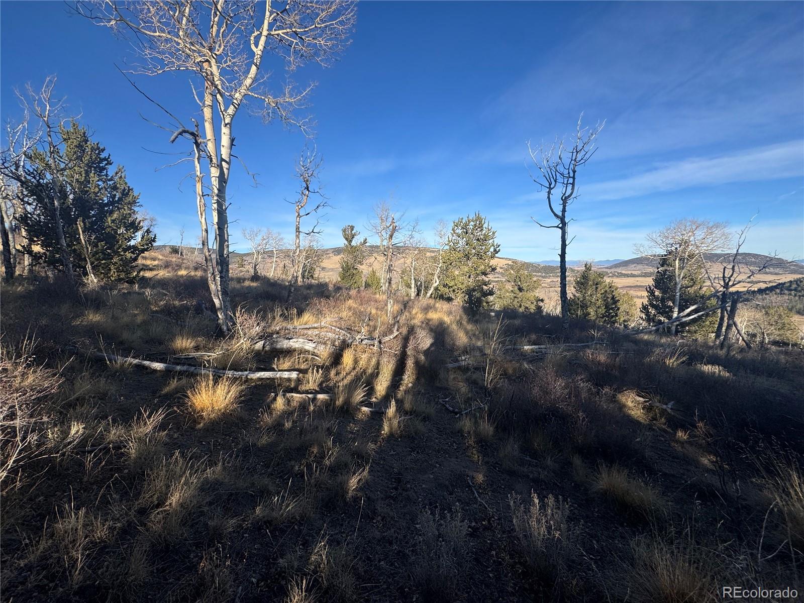 84 Pine Ridge Road Fairplay CO 80440