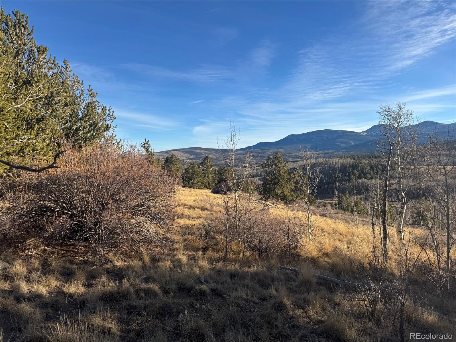 84 Pine Ridge Road Fairplay CO 80440