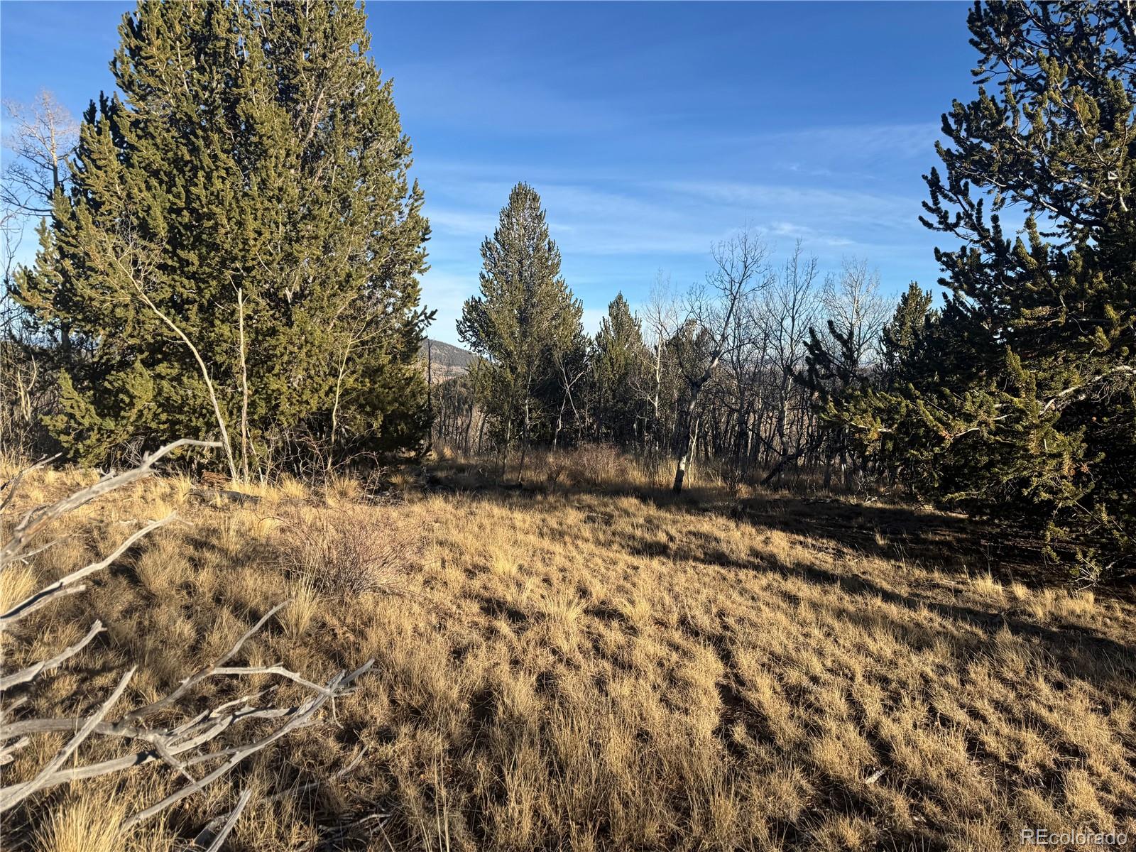 84 Pine Ridge Road Fairplay CO 80440