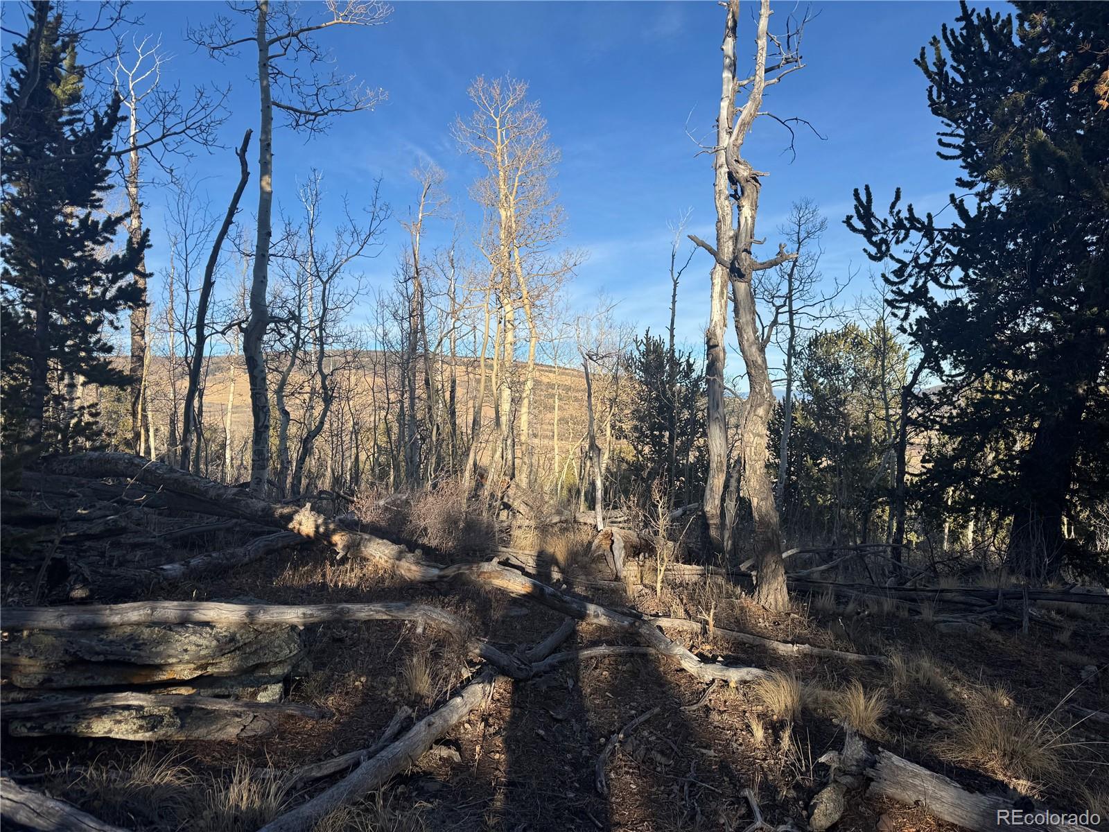 84 Pine Ridge Road Fairplay CO 80440