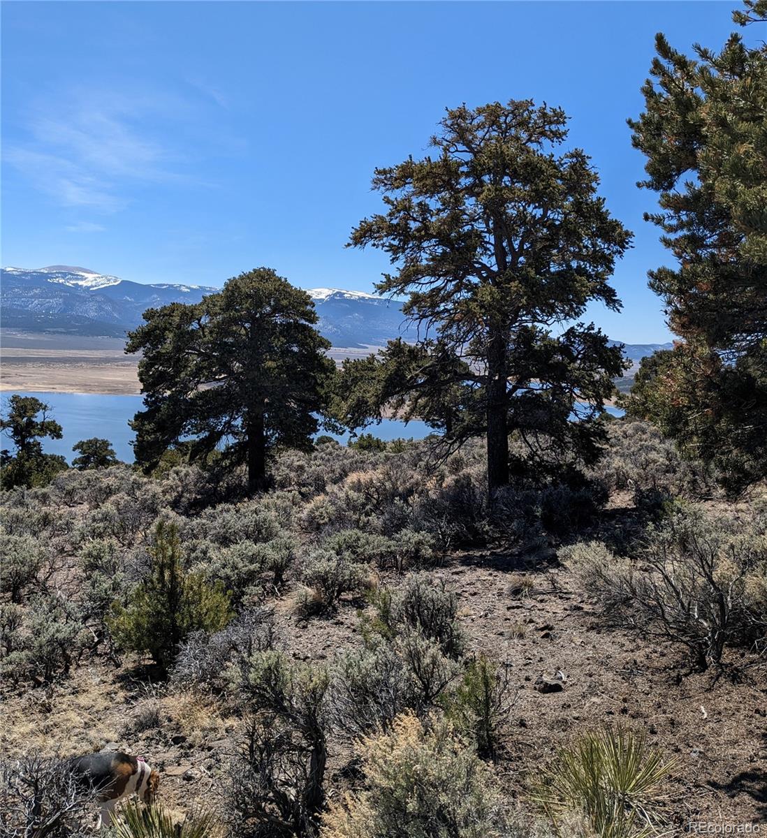 Lot 13 Eastridge Trail San Luis CO 81152