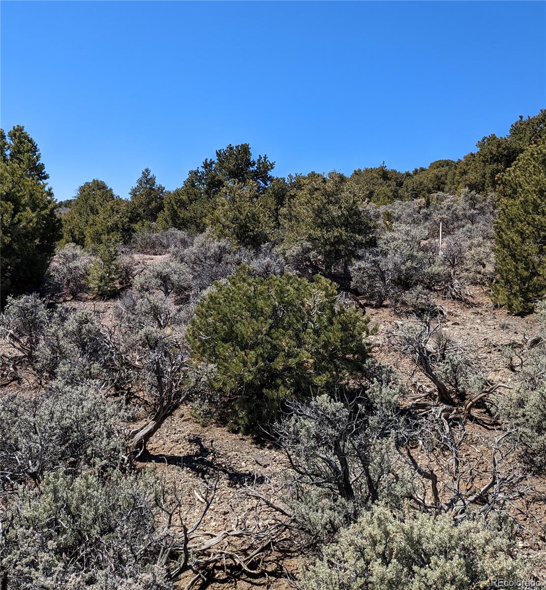 Lot 13 Eastridge Trail San Luis CO 81152