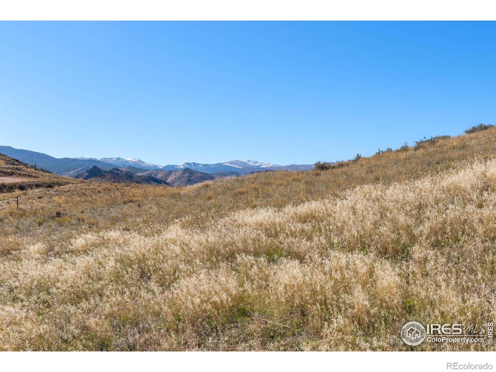 743 Horse Mountain Drive Livermore CO 80536