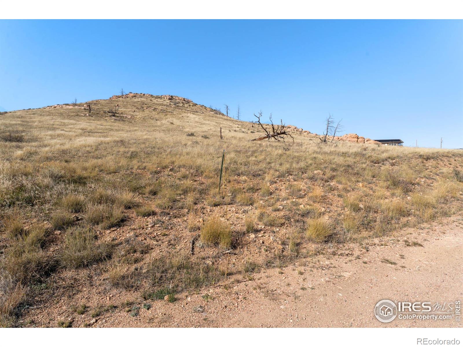 743 Horse Mountain Drive Livermore CO 80536