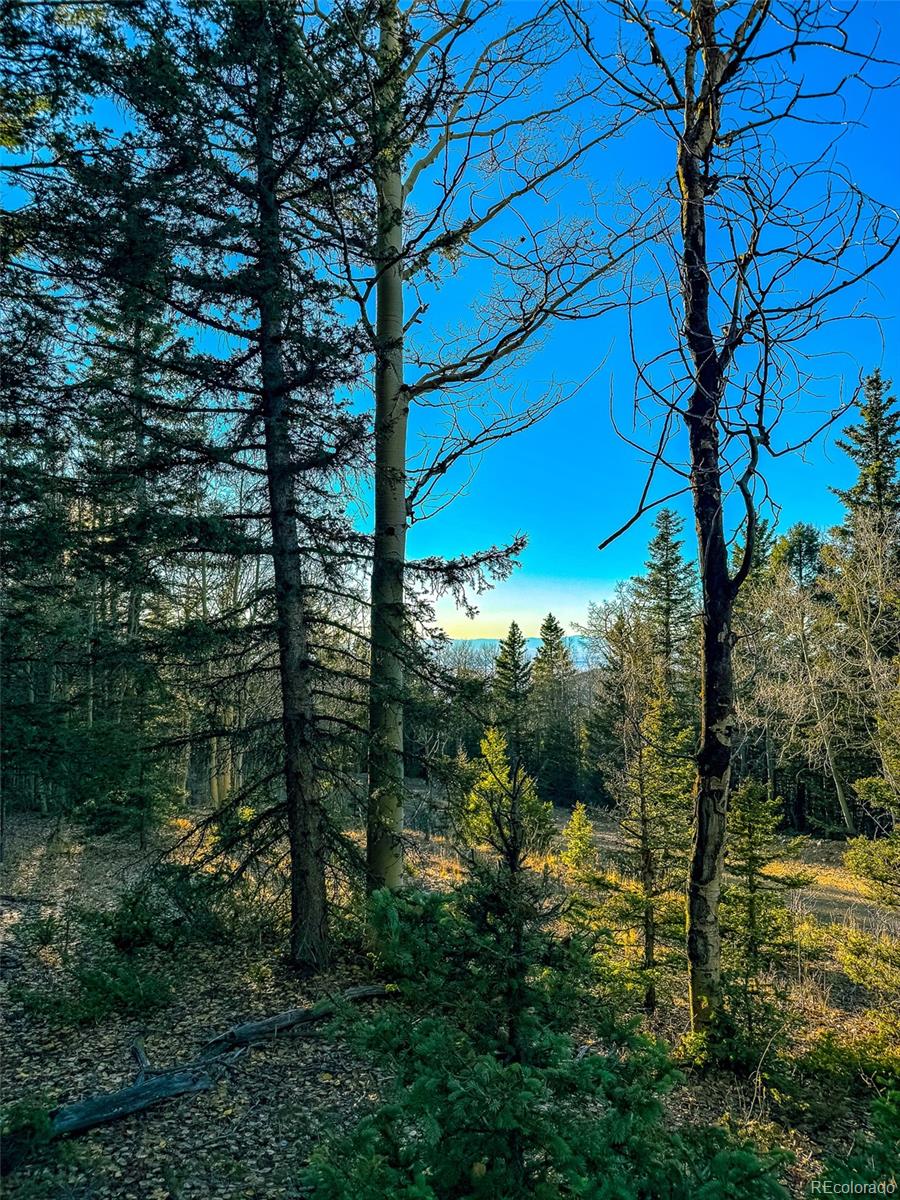6817 Heckman Road San Luis CO 81152