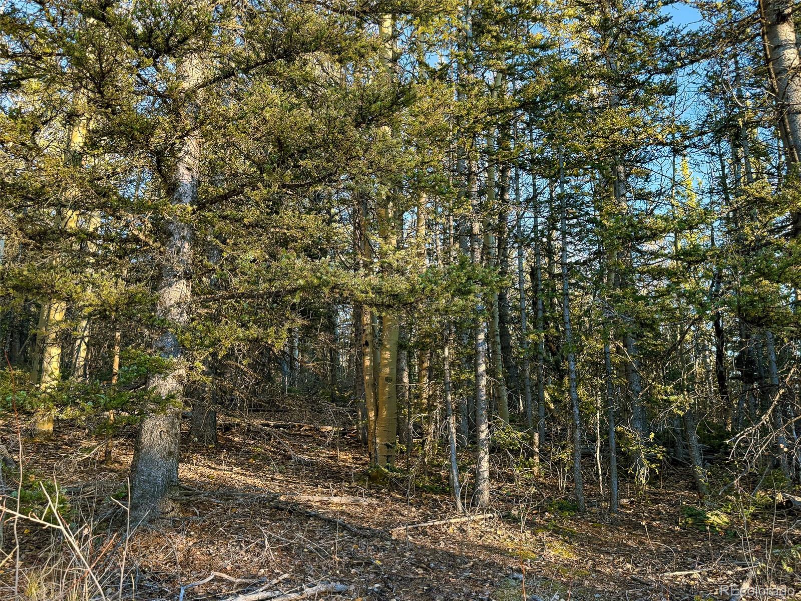 6817 Heckman Road San Luis CO 81152