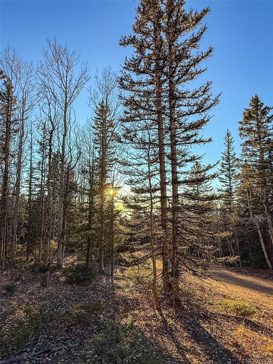 6817 Heckman Road San Luis CO 81152