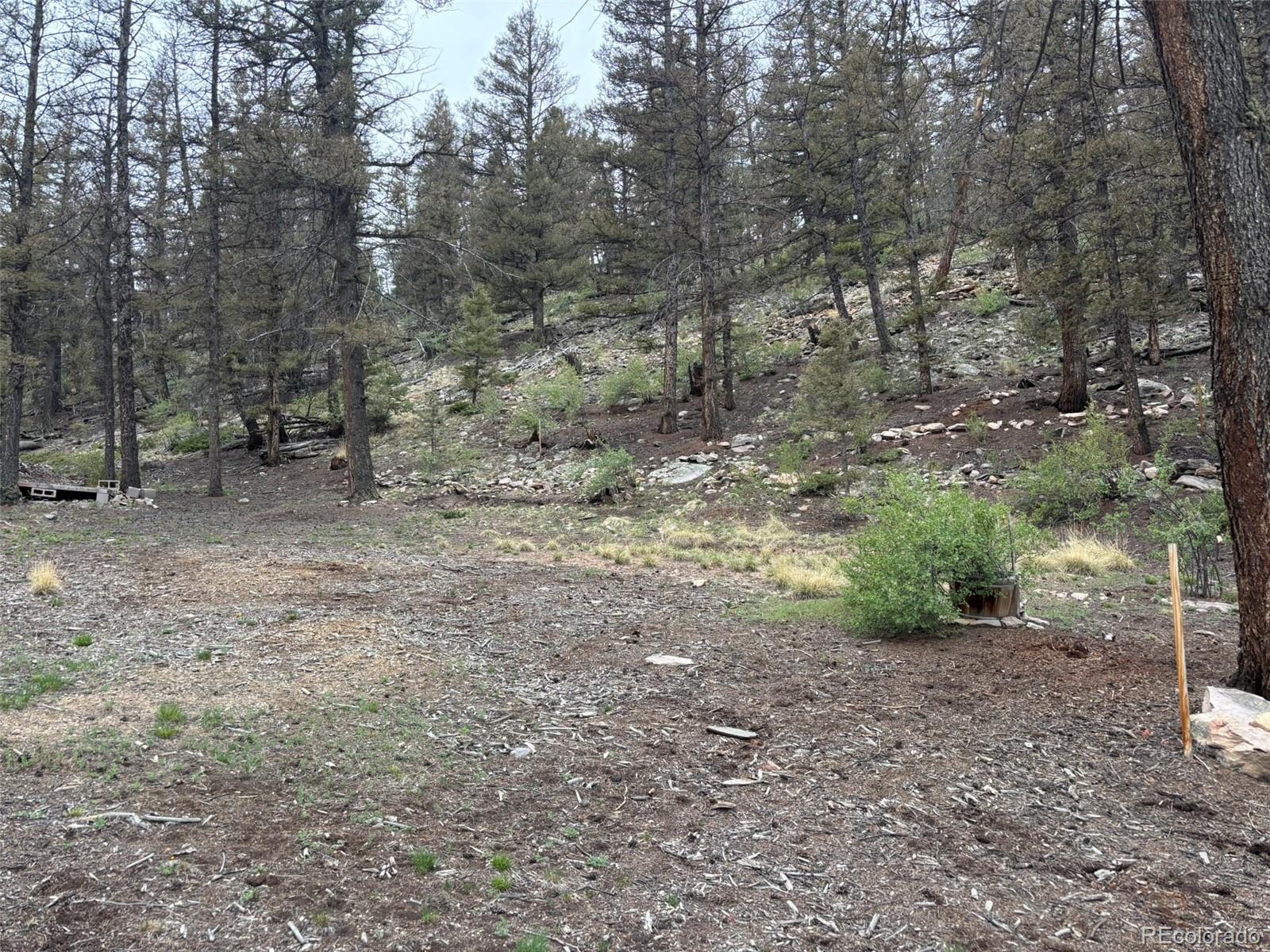 225 Trout Creek Lane Fairplay CO 80440