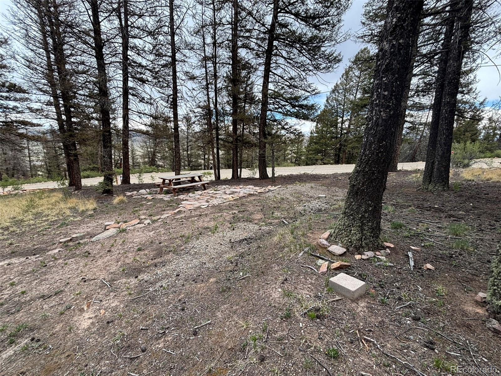 225 Trout Creek Lane Fairplay CO 80440