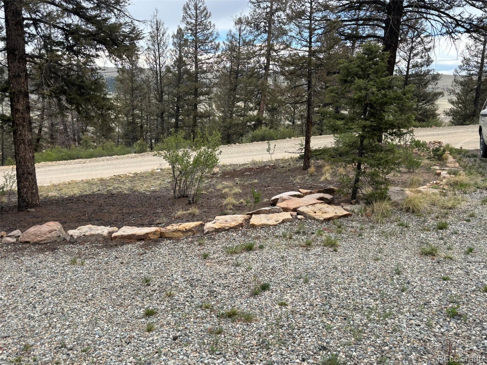225 Trout Creek Lane Fairplay CO 80440