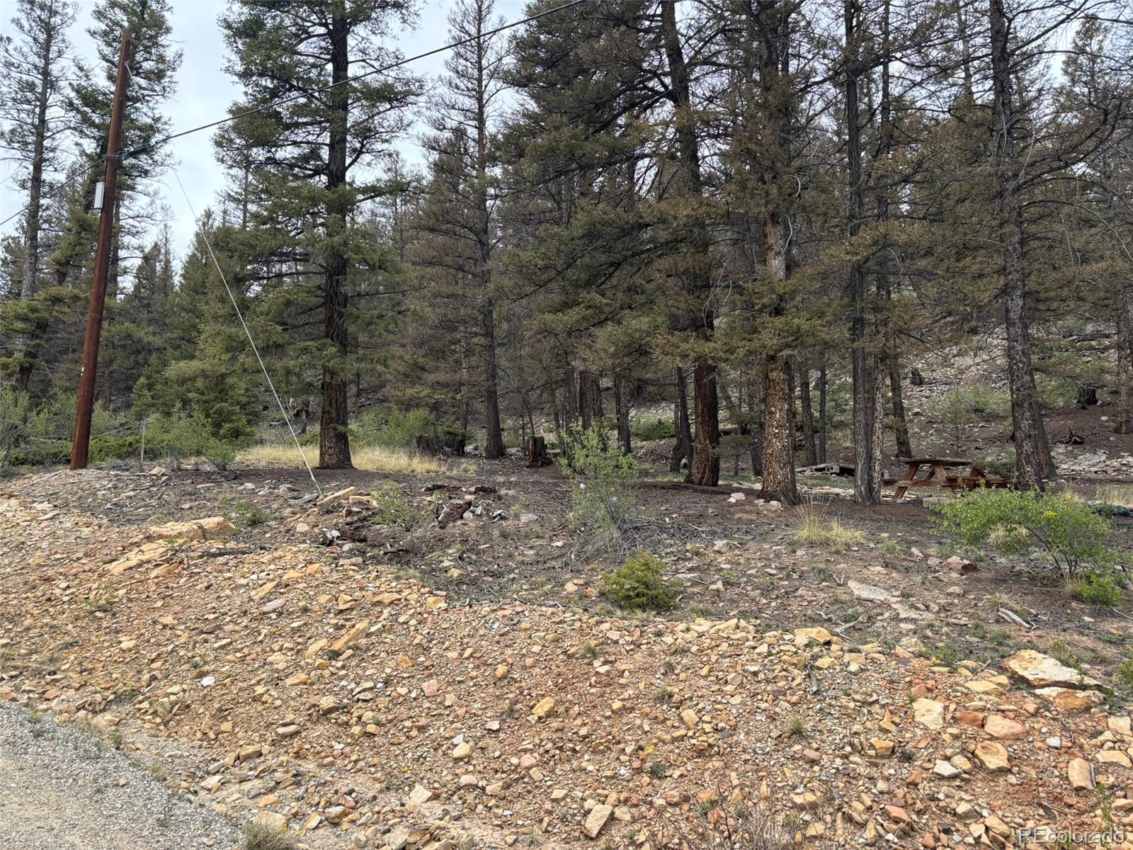 225 Trout Creek Lane Fairplay CO 80440