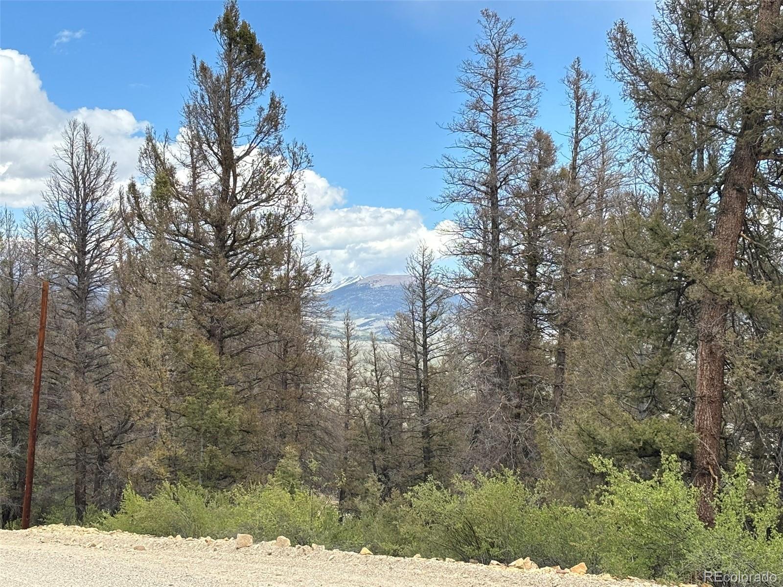 225 Trout Creek Lane Fairplay CO 80440