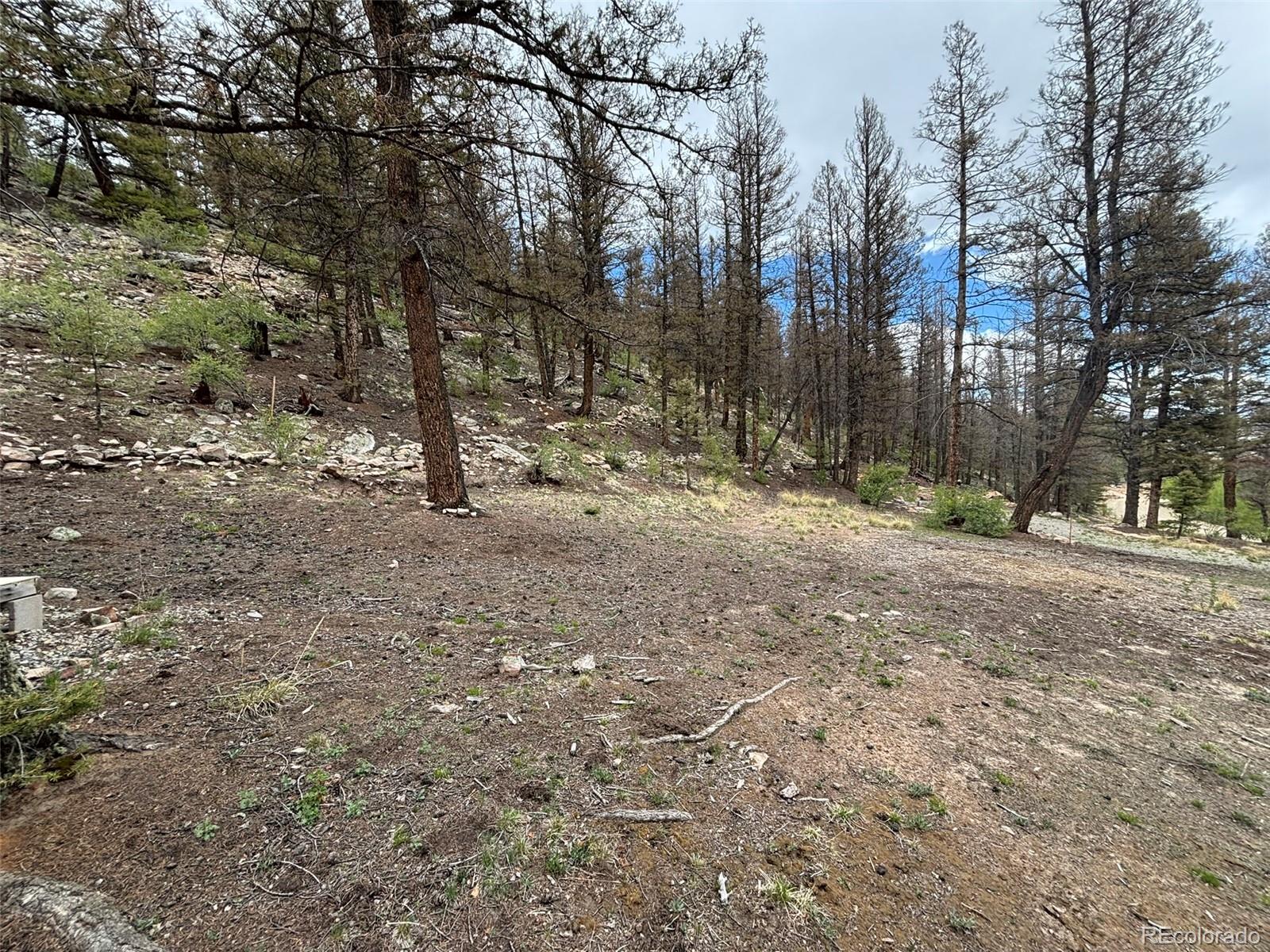 225 Trout Creek Lane Fairplay CO 80440